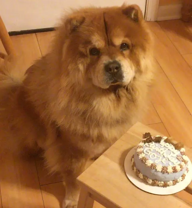 My Best Friends Cupcakes Picture 6