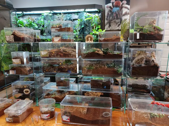 Fear Not Tarantulas, Inc Picture 5