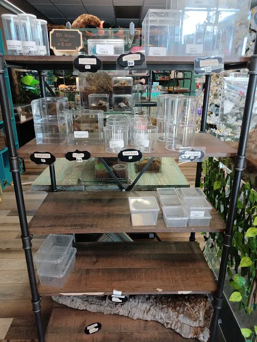 Fear Not Tarantulas, Inc Picture 6