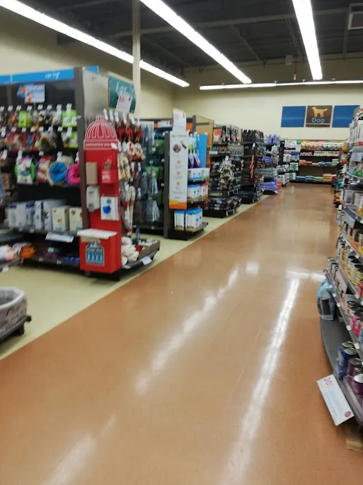 Petco Picture 5