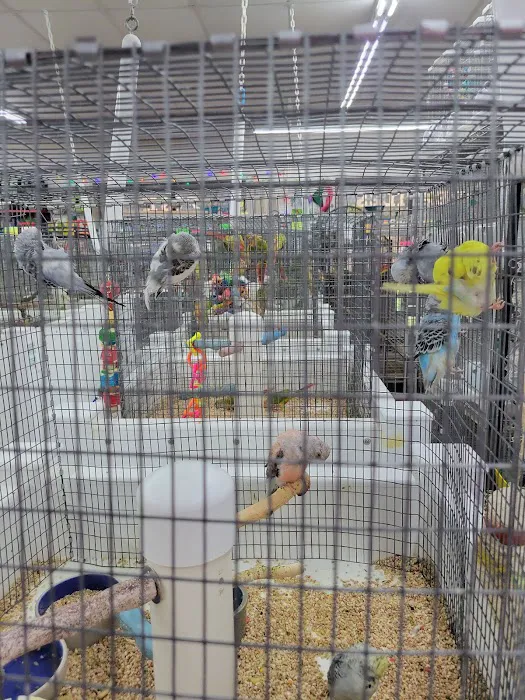 Pet Paradise Picture 2