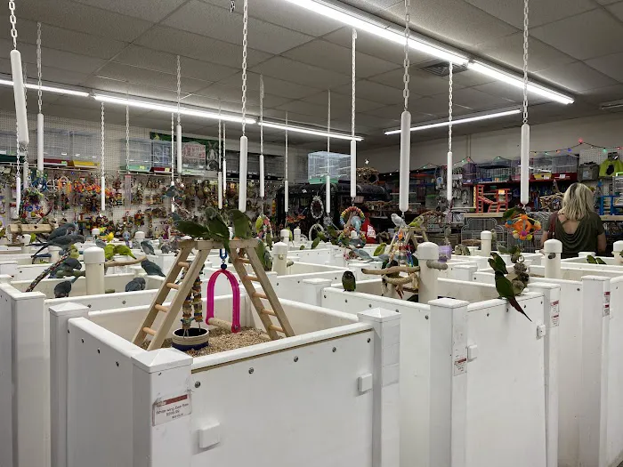 Pet Paradise Picture 3