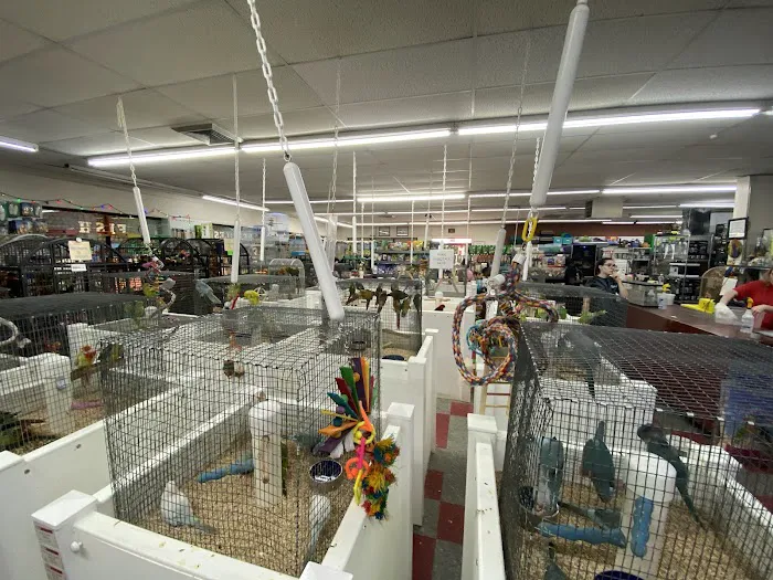Pet Paradise Picture 5