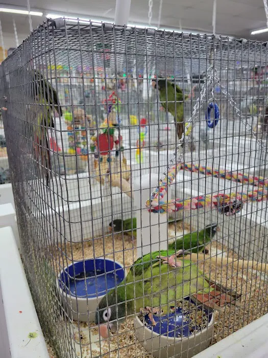 Pet Paradise Picture 6