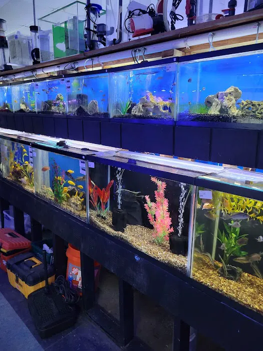 Pet Paradise Picture 7