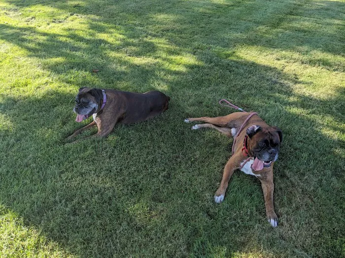 Hodes Veterinary Group Picture 7