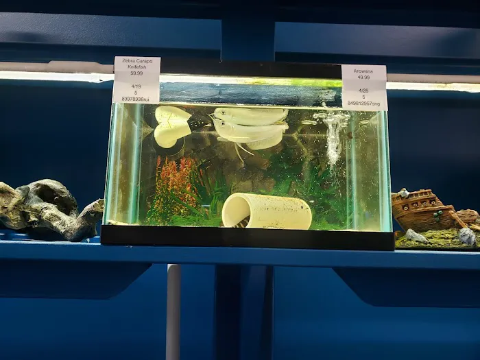 Jungle Aquatics Picture 2