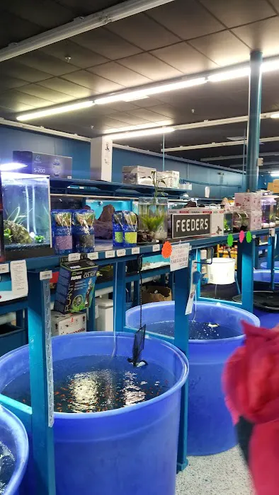 Jungle Aquatics Picture 4