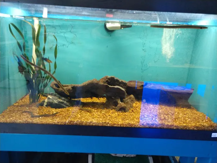 Jungle Aquatics Picture 6