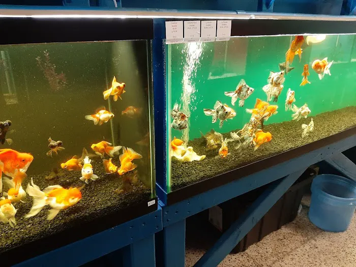 Jungle Aquatics Picture 9