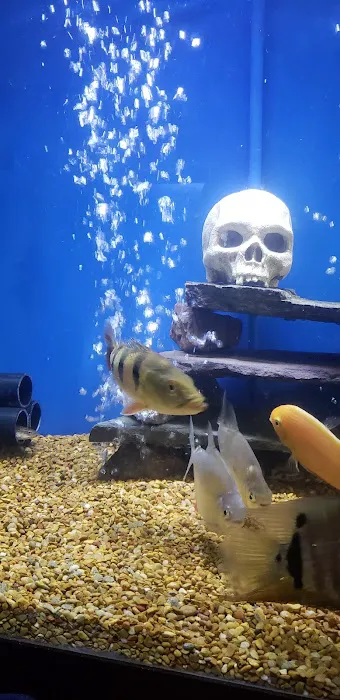 Jungle Aquatics Picture 8