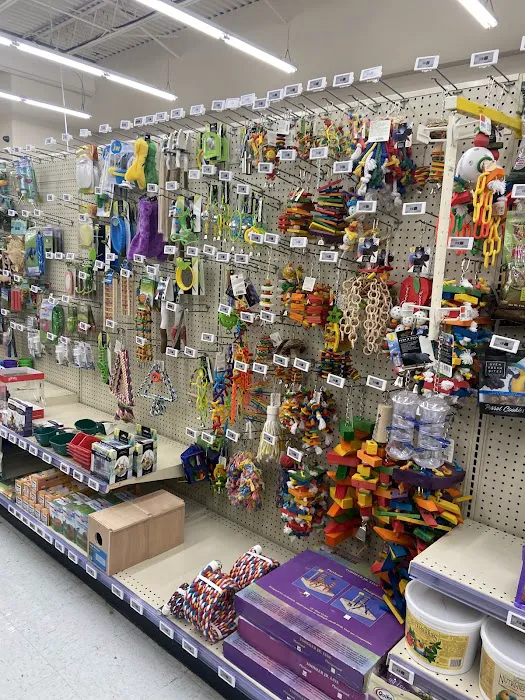 Pet Supplies Plus Virginia Beach Picture 3