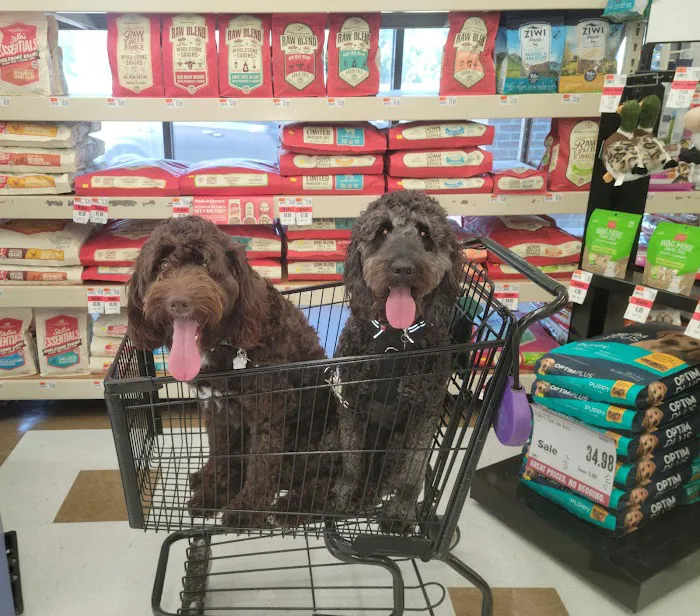Pet Supplies Plus Virginia Beach Picture 10