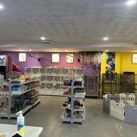Phoenix Pets ico