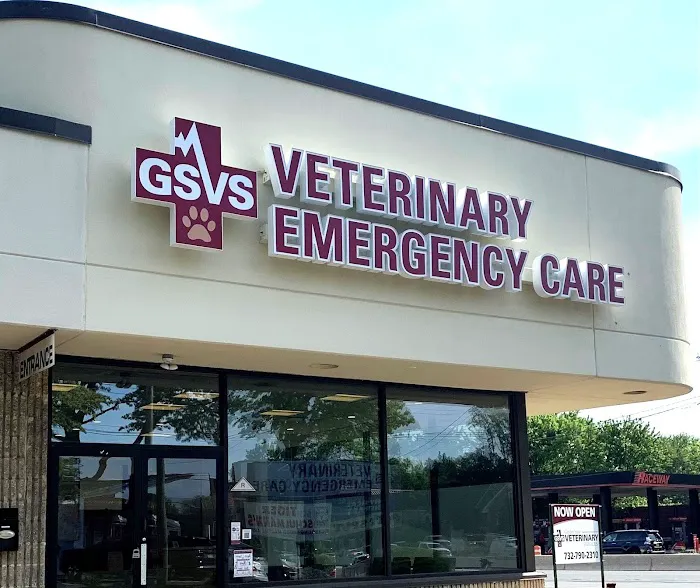 GSVS Veterinary Emergency Care Morristown Picture 1