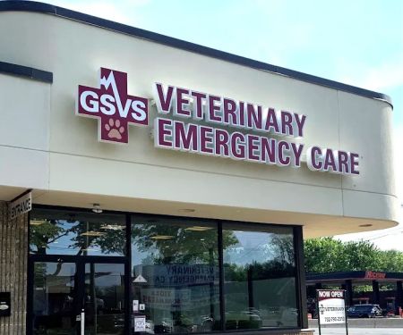 GSVS Veterinary Emergency Care Morristown
