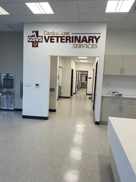 GSVS Veterinary Emergency Care Morristown Picture 3