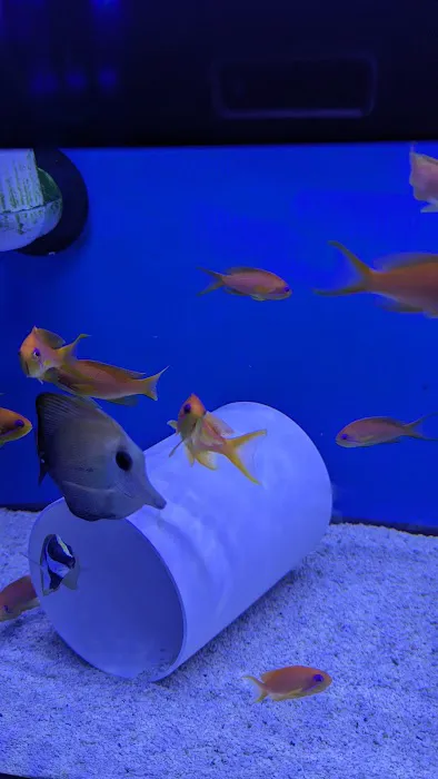 Premier Aquatics Picture 7
