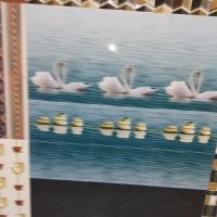 Rathore Kamlesh DVM ico