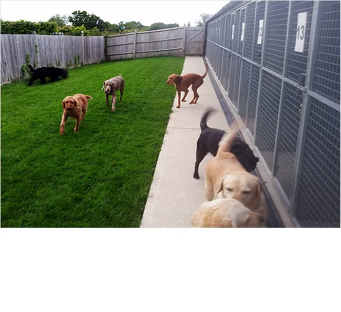 Universal Pet Shop Picture 1