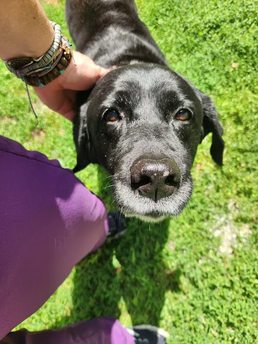 VCA Morris Plains Animal Hospital Picture 2