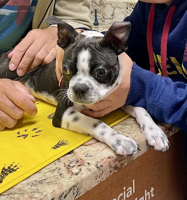 VCA Morris Plains Animal Hospital Picture 5