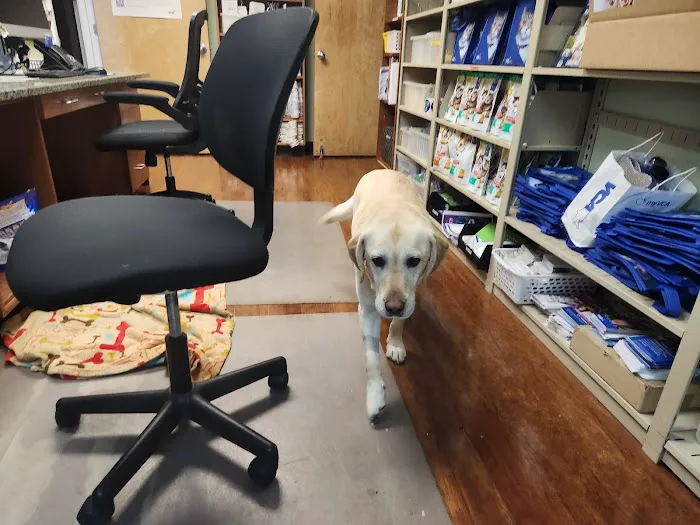VCA Morris Plains Animal Hospital Picture 7