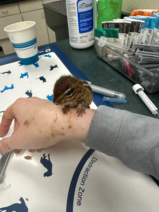 VCA Morris Plains Animal Hospital Picture 6