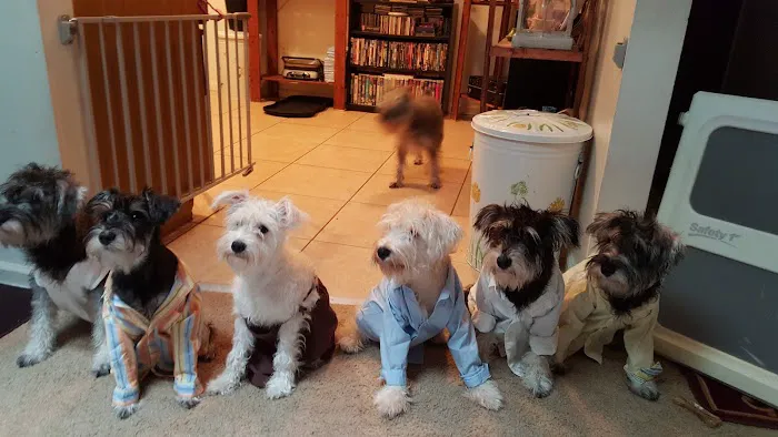 Fredon Animal Hospital Picture 5