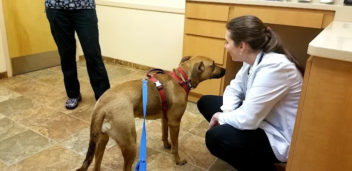 Fredon Animal Hospital Picture 9