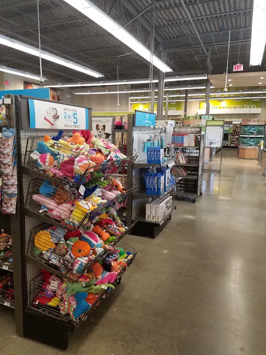 Petco Picture 5