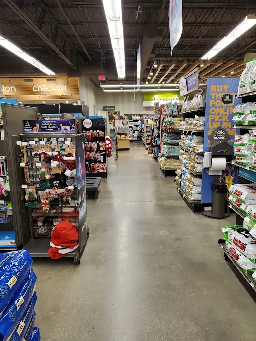 Petco Picture 7