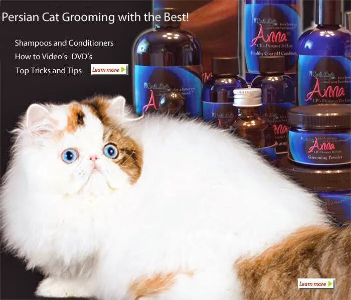 Purrinlot Persians Cat Supplies Picture 2
