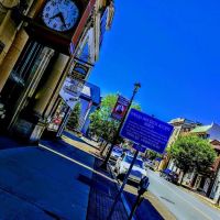 Tamaqua Veterinary Hospital ico