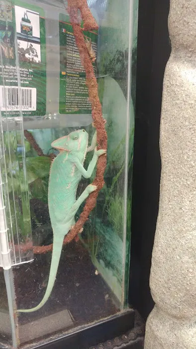 Petco Picture 4