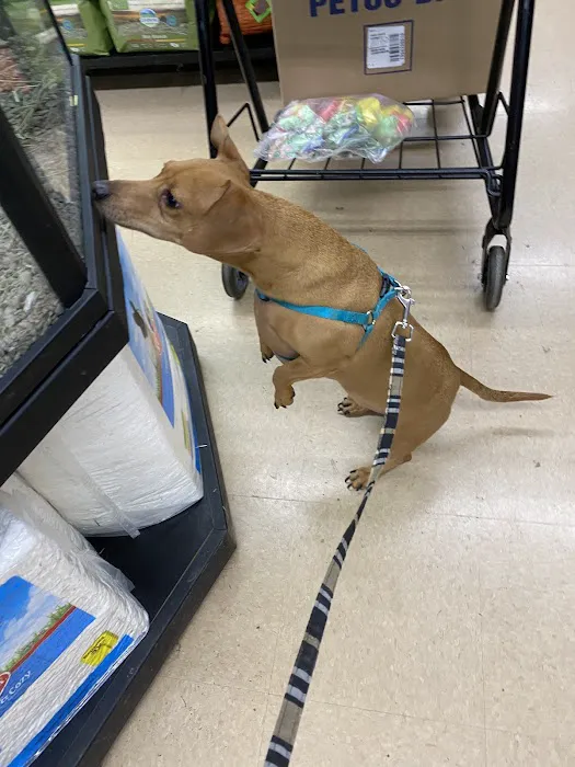 Petco Picture 6