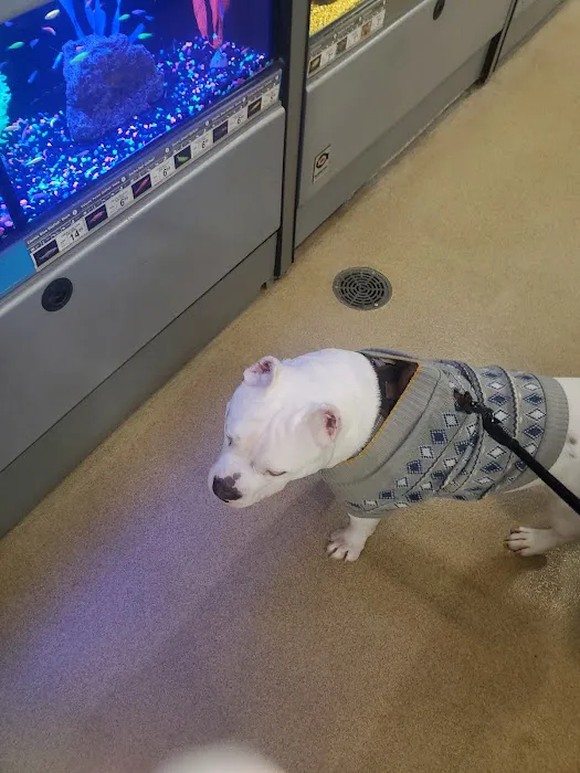 Petco Picture 9