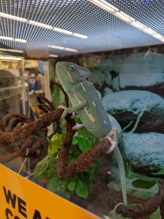 Petco Picture 8
