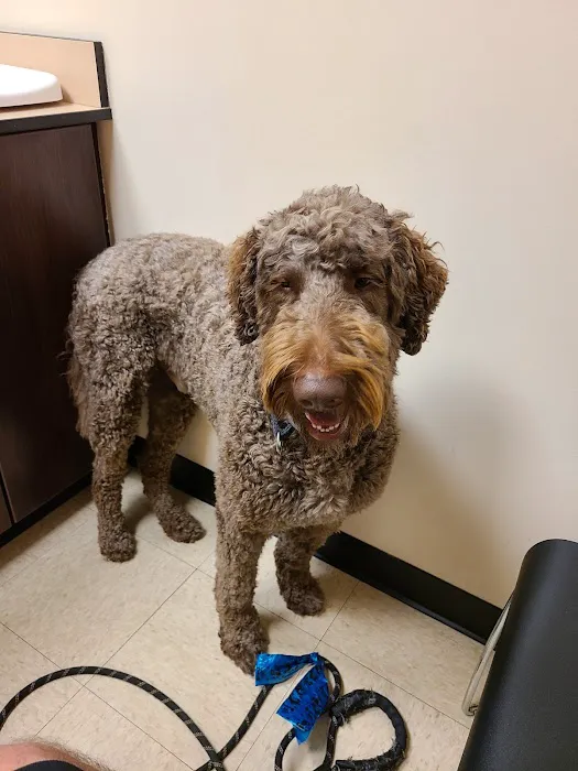 Rush Veterinary Center Picture 4