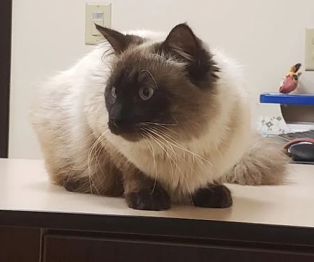 Rush Veterinary Center