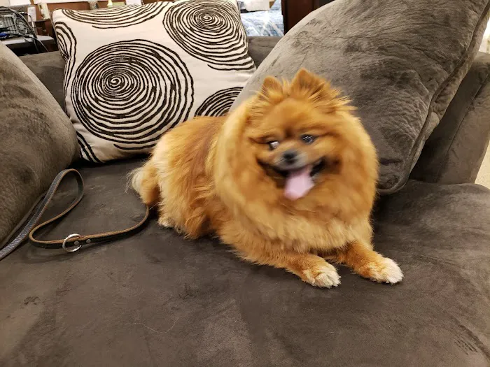 Rush Veterinary Center Picture 7