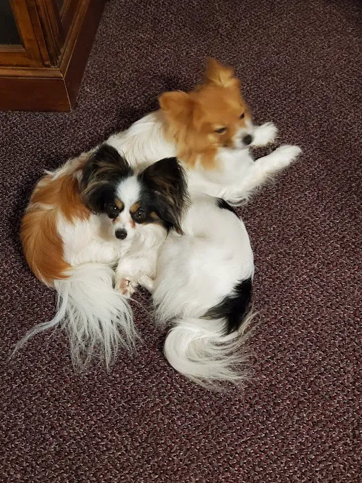 Rush Veterinary Center Picture 6