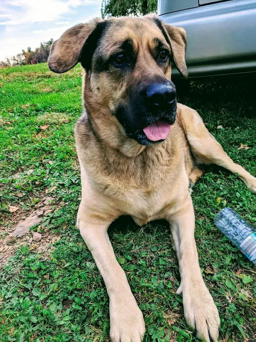 Rush Veterinary Center Picture 9