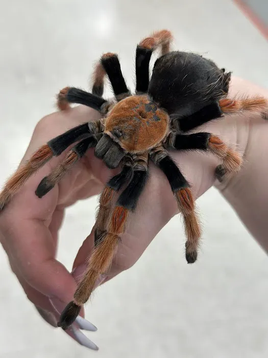 Pet World Picture 8