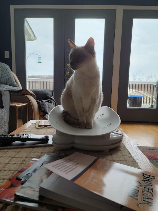 Cat Sense Feline Hospital And Boarding Inc Picture 1