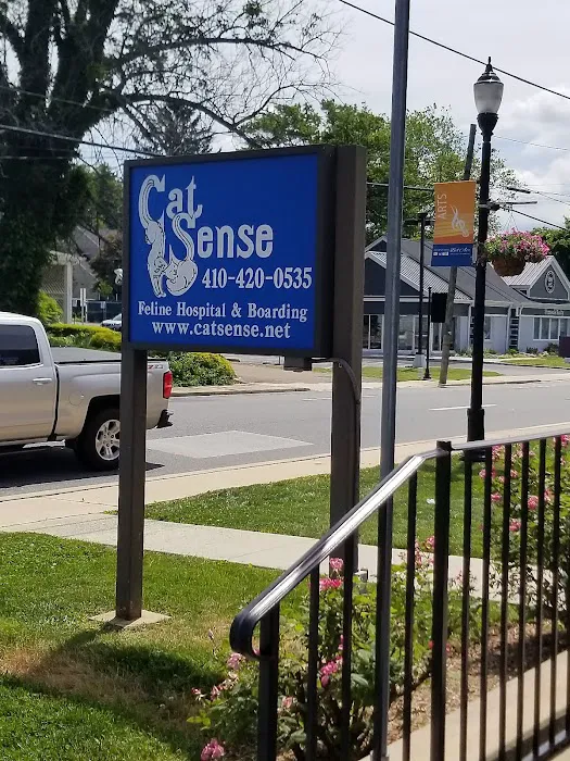 Cat Sense Feline Hospital And Boarding Inc Picture 2
