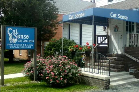 Cat Sense Feline Hospital And Boarding Inc Picture 10