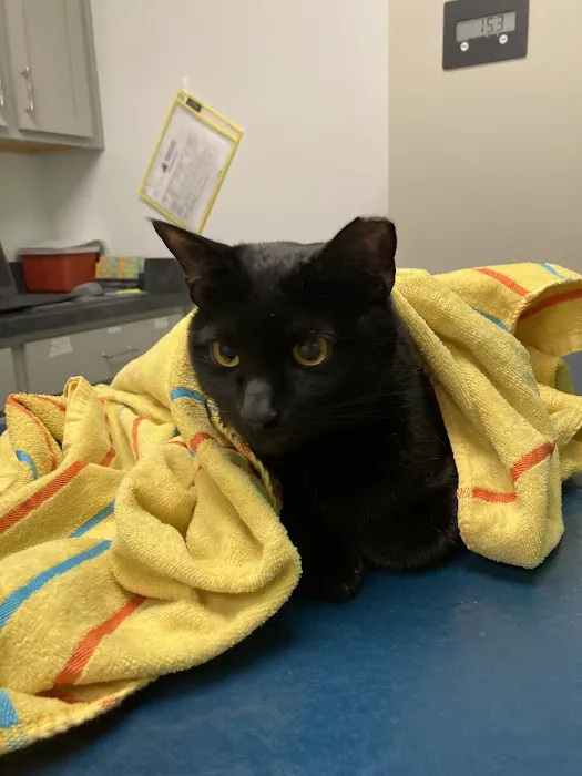Homeward Bound Veterinary Services Picture 1