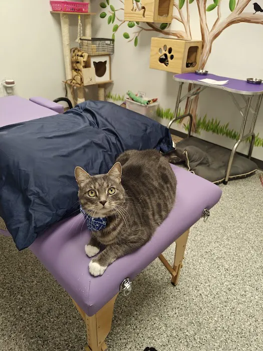 Homeward Bound Veterinary Services Picture 6