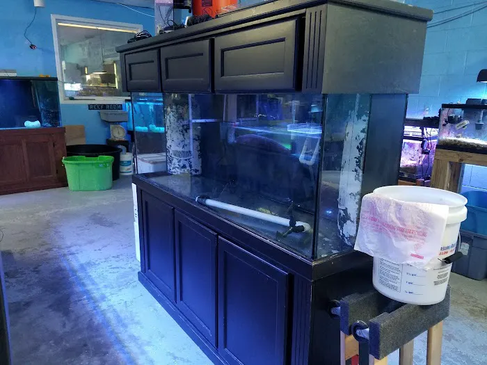 The Reef Room LLC Picture 3